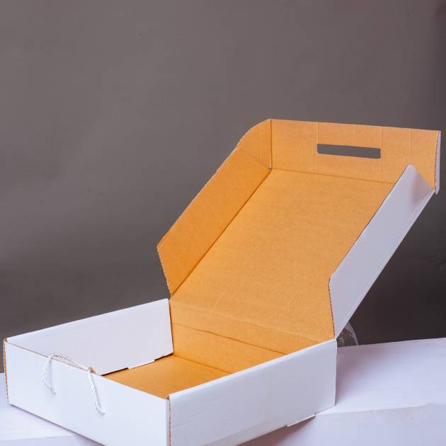 Carton Box
